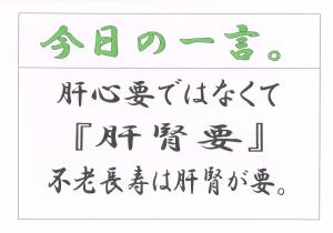 ファイル名: Scan0124.jpg
ファイルサイズ: 10.4KB Scan0124