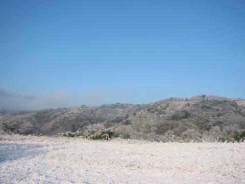 20130118005